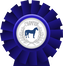 Kotylion "Champion na 4 kopytach"