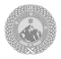 Medal Srebrny - Schmelzfest 1923