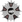 Srebrny Medal 2.Rajdu Szarotki 1925
